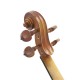 Aston 4/4  Spruce wood Carving Violin with Bow String Rosin Mute Case AV-30