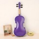Colorful Violin 4/4 Acoustic Not Fade Violin with Case&Bow