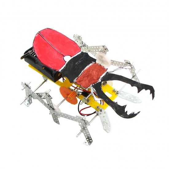 DIY Beetle Robot Educational Electric Scientific Experiment Toys for Children