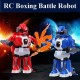 2PCS RC Intelligent Boxing Battle Robot with Light and Music