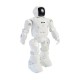 DEVO Robot Smart RC Robot Programmable Infrared Gesture Control Dance LED Expression Robot Toy