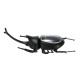 11.5cm Cute Solar Beetle Solar Powered Toy Beetle Children's Educational Toy