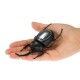 11.5cm Cute Solar Beetle Solar Powered Toy Beetle Children's Educational Toy