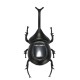 11.5cm Cute Solar Beetle Solar Powered Toy Beetle Children's Educational Toy