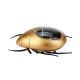 Cute Solar Powered Toy Beetle Children's Educational Science Toy Gift