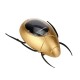 Cute Solar Powered Toy Beetle Children's Educational Science Toy Gift