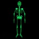 90cm / 150cm Halloween Prop Luminous Human Skeleton Hanging Decorations