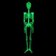 90cm / 150cm Halloween Prop Luminous Human Skeleton Hanging Decorations