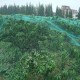 Household Fruit Crop Plants Anti Bird Net Garden Tree Protect Mesh Pond Netting 2m x 5m