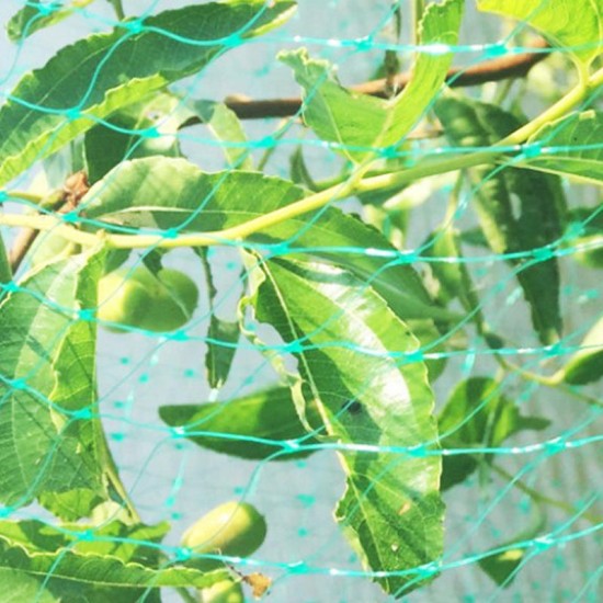 Household Fruit Crop Plants Anti Bird Net Garden Tree Protect Mesh Pond Netting 2m x 5m