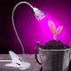 5W 220V Desktop Clip Flexible Neck 5 LED Plant Grow Light for Home Office Garden Greenhouse
