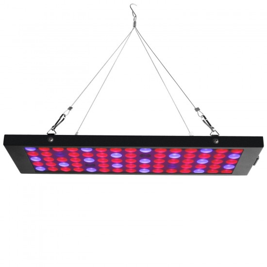 Egrow GL-2 Garden Flowering Grow Light 40W LED Plants Anti-fog Growing Lamp with Red Blue UV & IR Spectrum