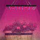 Egrow GL-2 Garden Flowering Grow Light 40W LED Plants Anti-fog Growing Lamp with Red Blue UV & IR Spectrum