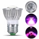 LED 5730SMD Grow Light Full Spectrum E27 6LED 10LED Red+Blue Growth Lamp Bulb For Flower Plant