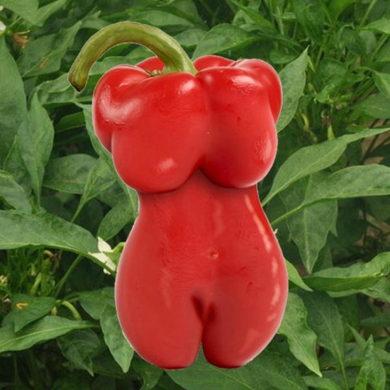 200Pcs Sexy Beauty Pepper Seeds Square Ornamental Red Bell Pepper Seeds Garden Bonsai