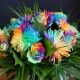 Egrow 20Pcs Rainbow Chrysanthemum Flower Seeds Rare Color Home Garden Bonsai Dyeing Plant