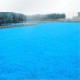 Egrow 500 PCS Blue Grass Seed Rare Lawn Seeds Garden Courtyard Decoration Perennial Grass