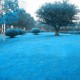 Egrow 500 PCS Blue Grass Seed Rare Lawn Seeds Garden Courtyard Decoration Perennial Grass