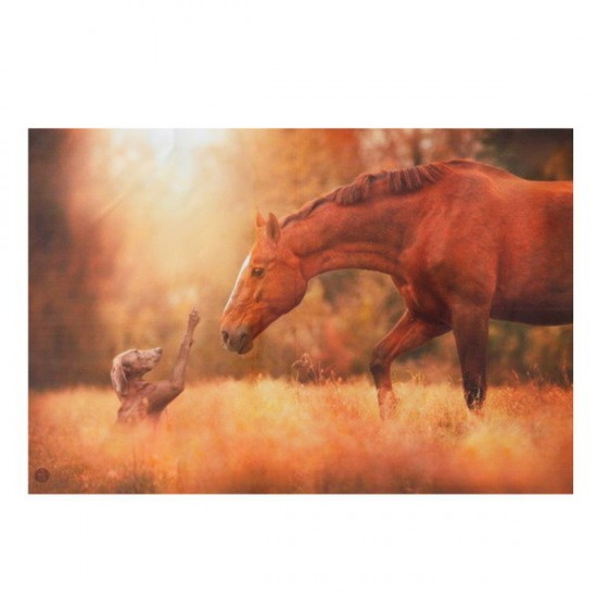 Friendship of Horse and Dog Silk Poster Fabric Nature Animal Print Wall Home Decoration