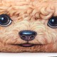 2 Sizes Plush Creative 3D Dog Cat Throw Pillows Meow Star Sofa Bed Cushion