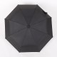 Automatic Windproof Folding Umbrella Men Women 8 Ribs Umbrellas Travel Lightweight Rain Gear