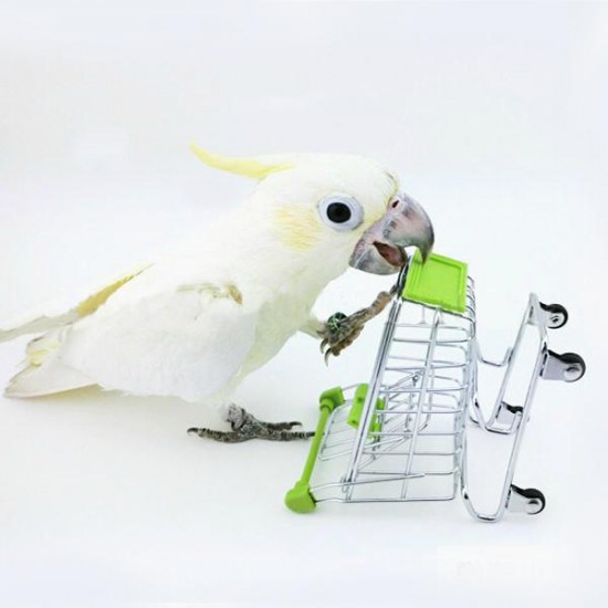 Parrot Toy Bird Supermarket Shopping Cart Kids Growth Box