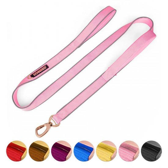 Double Handle Dog Leash Dual Handle Heavy Duty Soft Padded Reflective Nylon Dog Traction Rope