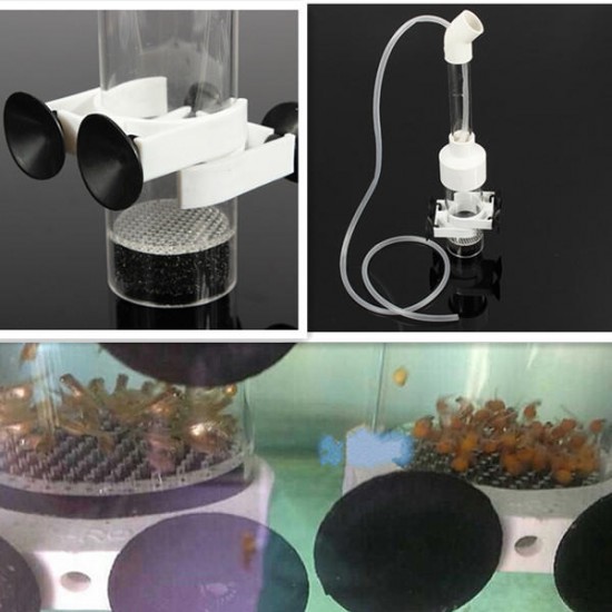 Aquarium Fish Hatchery Cichlids Tumbler Incubator