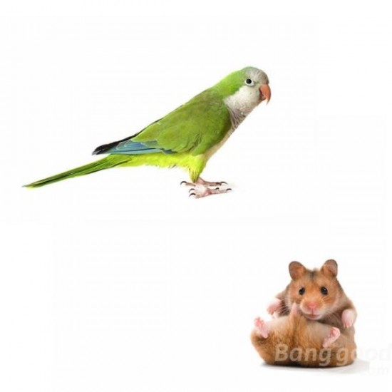 Hamster Parrot Chew Toys Grinding Stone Bird Mouth Molar Cage Toy