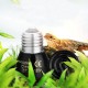 25W/50W/75W/100W Pet Reptile Far Infrared Ceramic Emitter heat lamp Bulb For Reptile Pet Brooder