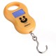 50Kgx5g Hanging Pocket Digital Fishing Weight Luggage Scale