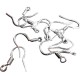 Silver Plated Unisex Fish Dangle Metal Earring Hooks Coil DIY Finding