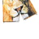 3D Lion Printing Summer Casual Holiday Beach Board Shorts for Men