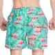 Flamingo Printing Loose Beach Drawstring Quickly Dry Board Shorts for Men