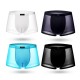 4 Pieces Ice Silk Light Thin Translucent Breathable Soft Cool Boxers Briefs for Men