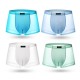 4 Pieces Ice Silk Light Thin Translucent Breathable Soft Cool Boxers Briefs for Men