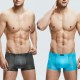 4 Pieces Ice Silk Light Thin Translucent Breathable Soft Cool Boxers Briefs for Men