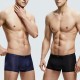 4 Pieces Ice Silk Light Thin Translucent Breathable Soft Cool Boxers Briefs for Men