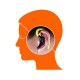 Fonge S760 Sport Running Water-proof Sweat-proof Ear Hook Earphone Headset for Xiaomi Samsung Phone Fonge S760 Sport Running Water-proof Sweat-proof Ear Hook Earphone Headset for Xiaomi Samsung Phone