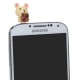 3X3.5mm Bear Dustproof Plug For Mobile Phone MP3 MP4 3X3.5mm Bear Dustproof Plug For Mobile Phone MP3 MP4
