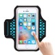 Haissky Waterproof Arm Bag Running Arm Belt Sports Phone Case Armband for under 5.5 inches Phone