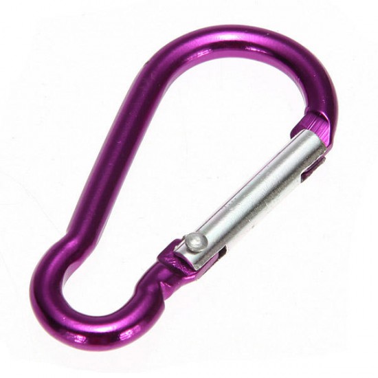 1 Pcs Metal Carabiner Clip Snap Hook Key Ring Chain Buckle For Camping Hiking