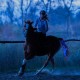 100cm Horse Tail Light USB Chargeable LED Camping Lamp Sports Horse Harness Equestrian Lantern