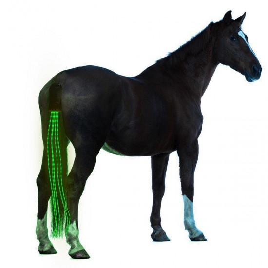 100cm Horse Tail Light USB Chargeable LED Camping Lamp Sports Horse Harness Equestrian Lantern