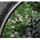 20Pcs XANES WL04 Vibration Induction Bicycle Wheel Light Nozzle Spoke Light for Schrader Valve Woods Valve 20Pcs XANES WL04 Vibration Induction Bicycle Wheel Light Nozzle Spoke Light for Schrader Valve Woods Valve