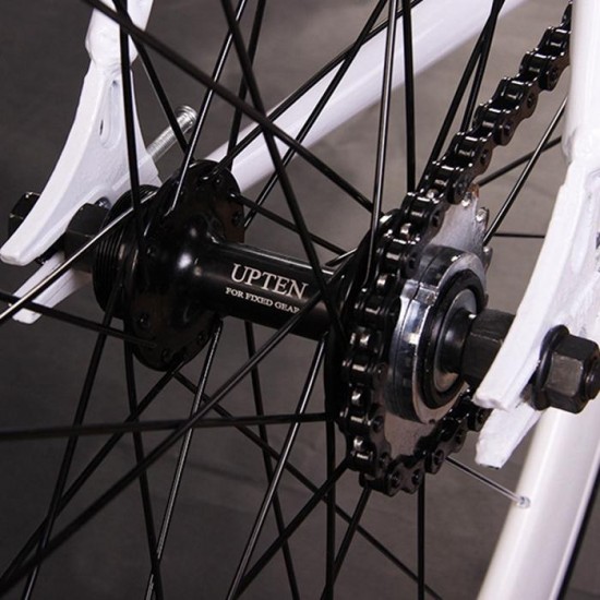 KOLUSSI TA119 700cc x 23cc Double V Brake Fixed Gear Bikes High Carbon Steel Frame Removable DIY Bike 52cm