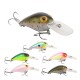 SeaKnight SK002 1PCS Crankbaits 11g 50mm Hard Fishing Lure Chubby Carp Fishing Baits Crank Wobblers SeaKnight SK002 1PCS Crankbaits 11g 50mm Hard Fishing Lure Chubby Carp Fishing Baits Crank Wobblers