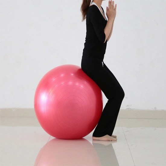 55CM Sports Fitness Yoga Pilates Balance Ball For Weight Loss Slimming Exercise Training