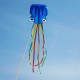 Portable Colorful Octopus Soft Outdoor Sport Flying Kite 5.5m