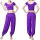 2 Pcs Women Yoga Suit Breathable Sport Crop Top Loose Pants Workout Sets